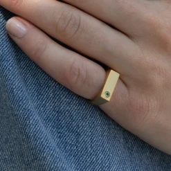 byBiehl® Danmark Guldringe<My Powers ring