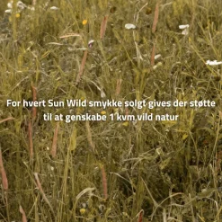 byBiehl® Danmark Charms<Sun Wild Large Vedhæng