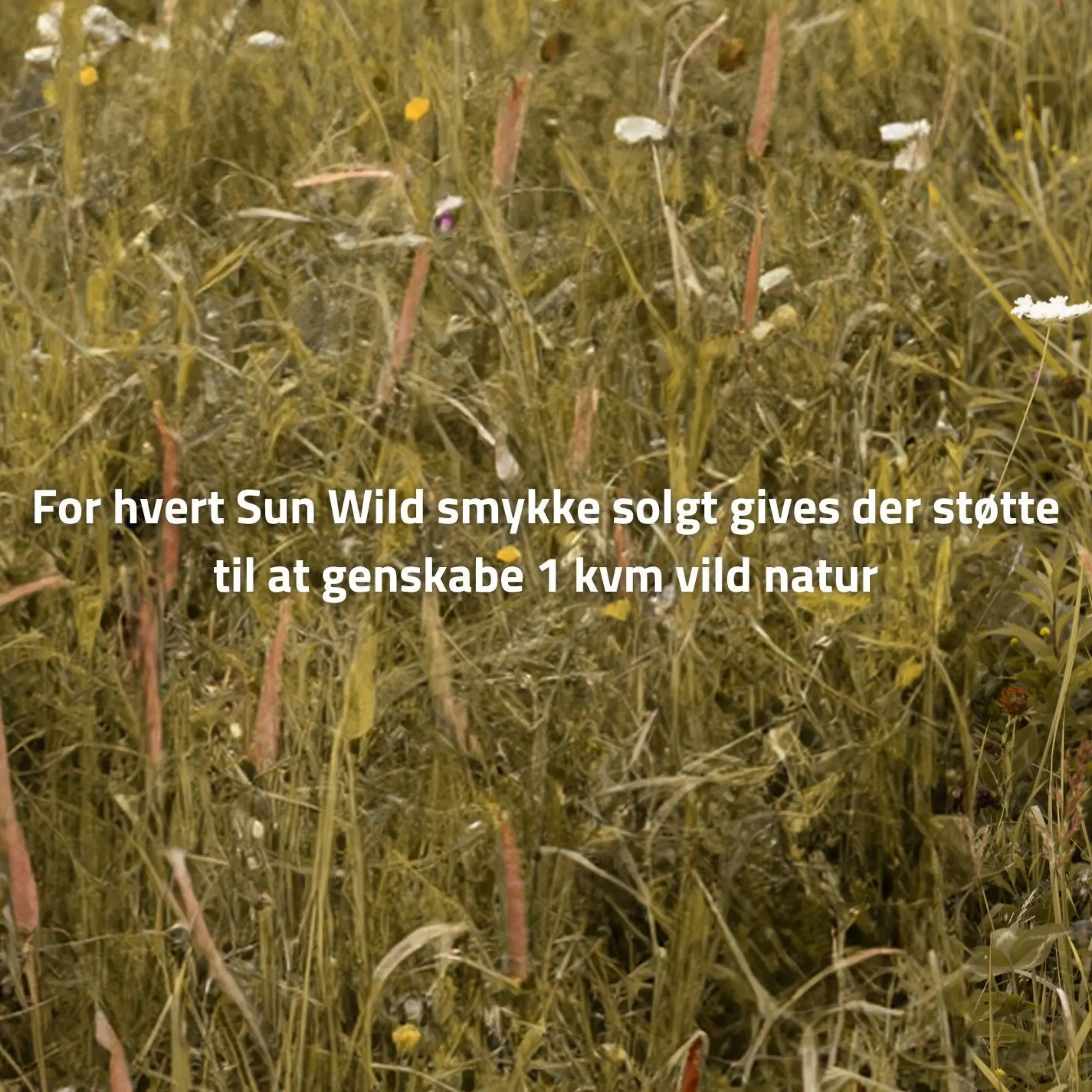 byBiehl® Danmark Charms<Sun Wild Large Vedhæng